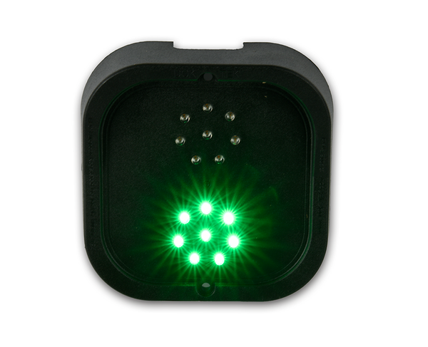 LED Traffic light with two 50mm diameter LED arrays w/ 1m cable tail ...